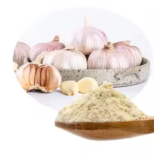 GARLIC NATURAL