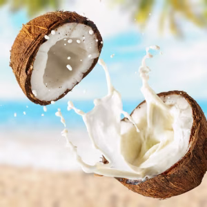 COCONUT FLAVOUR EXCELLENT