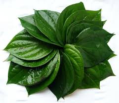 PAN PATTA FLAVOUR NATURAL
